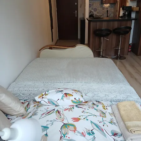 Mieszkanie Przy Olivii * 格但斯克